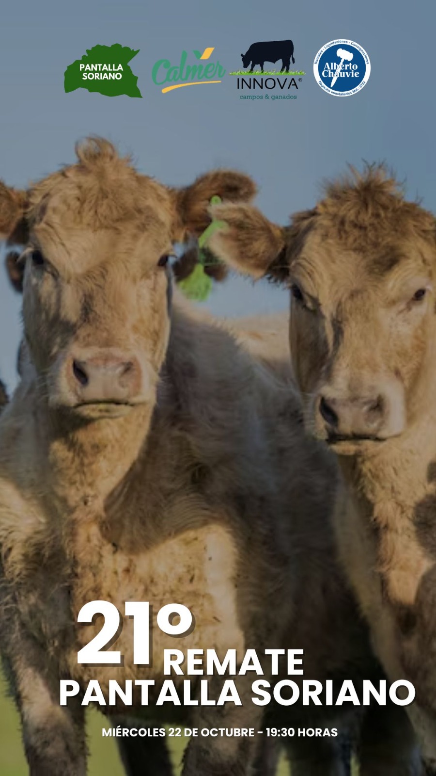 21º Remate - Pantalla Soriano